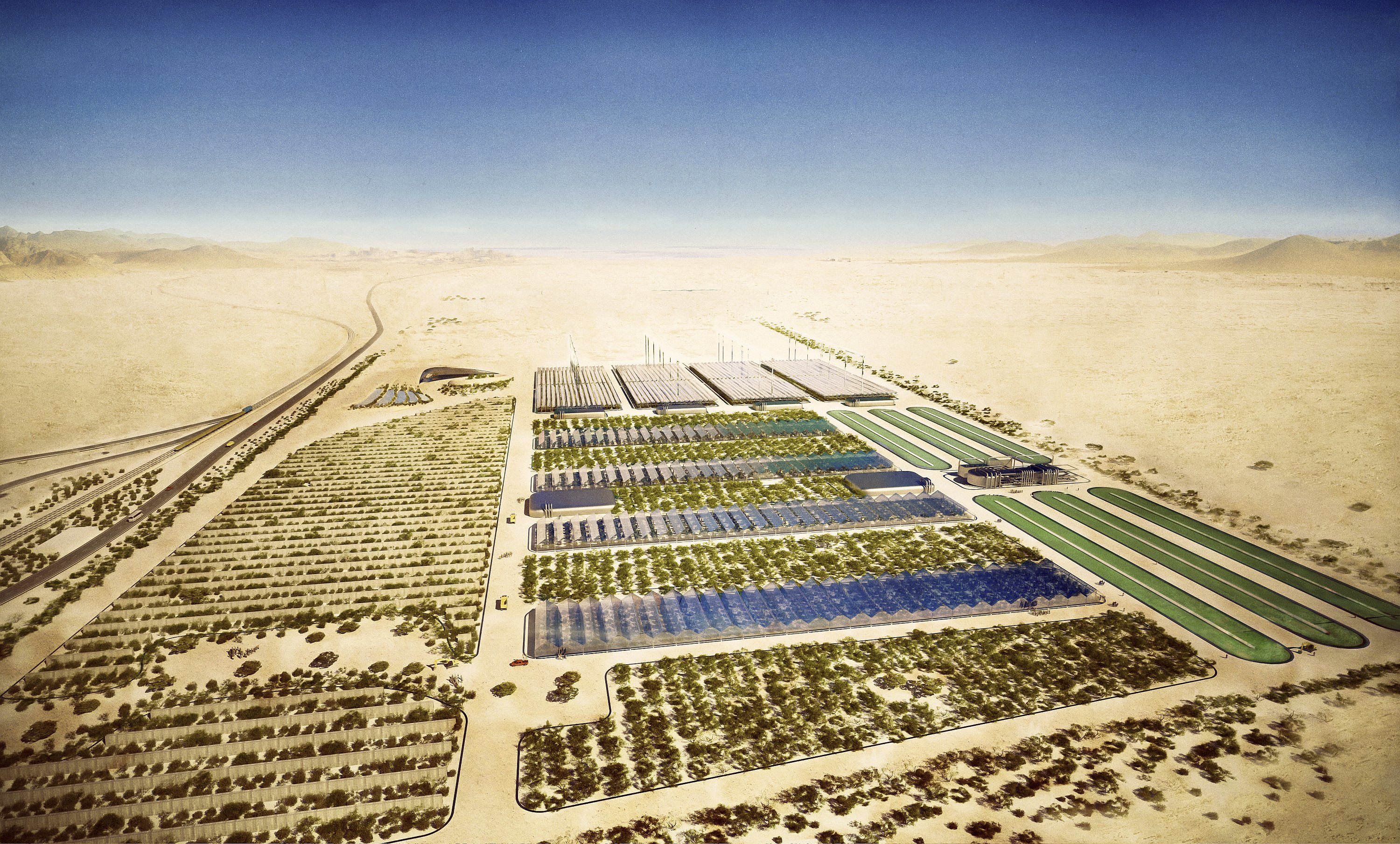 Сельское хозяйство саудовской аравии. Озеленение пустыни в Саудовской Аравии. Оазисное земледелие ОАЭ. Озеленение пустыни в Израиле. Саудовская Аравия орошение пустыни.