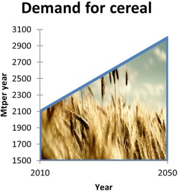 SFP-Food-Scarcity-graph-demand-for-cereal